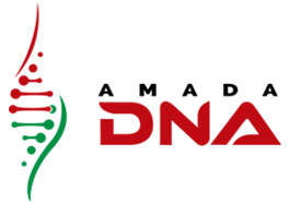 Exportateur d’huile essentielle et de produits naturels de Madagascar : AMADA DNA